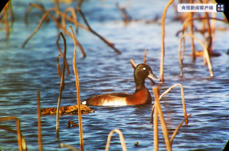 ab506e62bd3400925b3e005c0d03a5f5_1211470414_16384080193021n.jpg ab506e62bd3400925b3e005c0d03a5f5_1211470414_16384080193021n.jpg