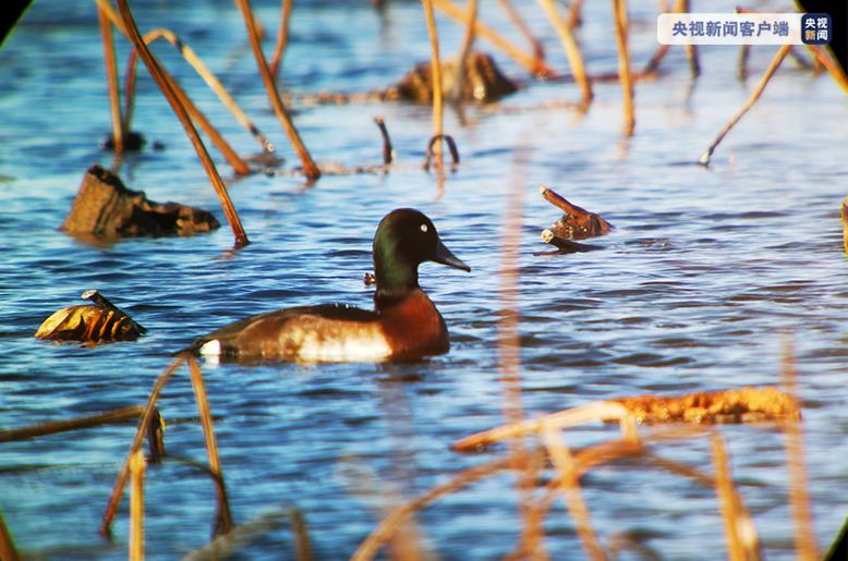 45c3d4265b601aabf99c144ac3f9ebc7_1211470414_16384080115431n.jpg 45c3d4265b601aabf99c144ac3f9ebc7_1211470414_16384080115431n.jpg