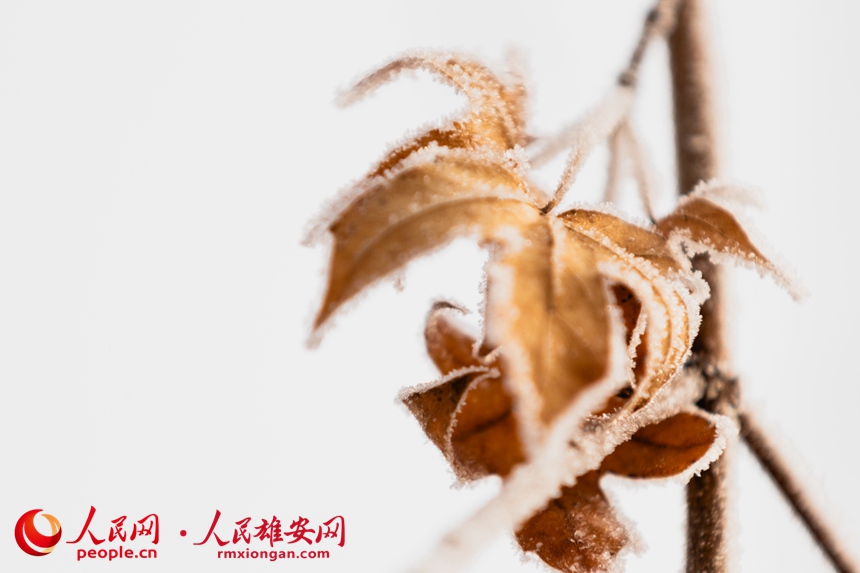 62e0fc36edd2e28936706618ce46209a_LOCAL202201081819000130284492553.jpg 62e0fc36edd2e28936706618ce46209a_LOCAL202201081819000130284492553.jpg