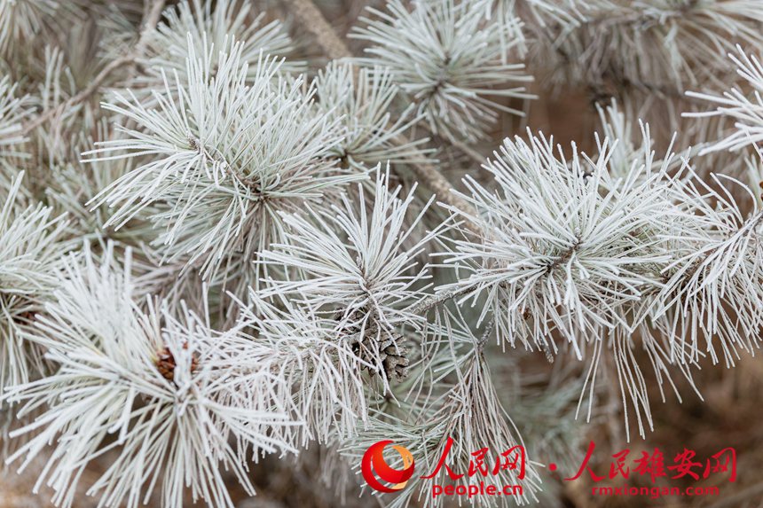 fabbefd29e33776329f28367b13341a4_LOCAL202201081817000232034367628.jpg fabbefd29e33776329f28367b13341a4_LOCAL202201081817000232034367628.jpg