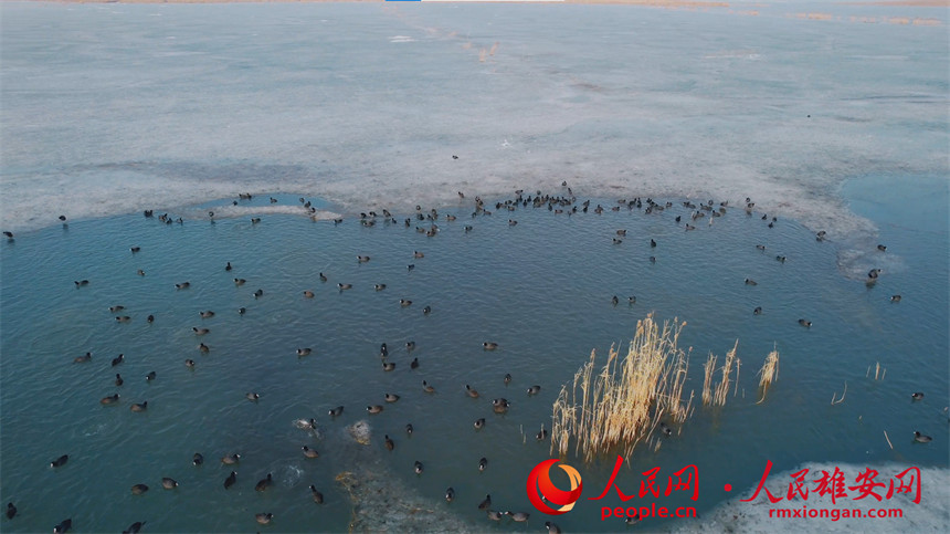 31dd79ece3770f17fc3c07592224c6af_LOCAL202202192157000503561356442.jpg 31dd79ece3770f17fc3c07592224c6af_LOCAL202202192157000503561356442.jpg