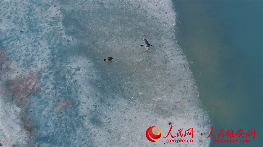 f435838016db2d40842435eecf02e6a5_LOCAL202202192158000011106194359.jpg f435838016db2d40842435eecf02e6a5_LOCAL202202192158000011106194359.jpg