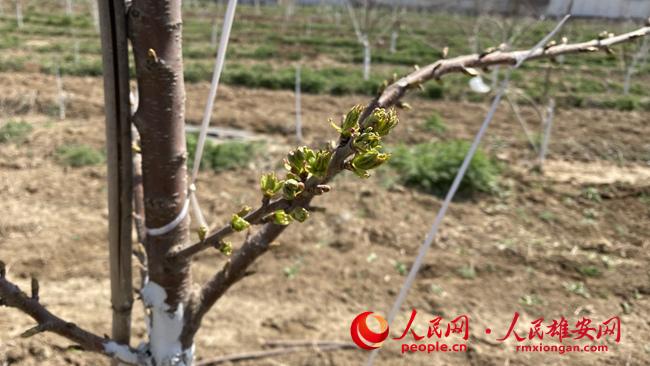 51d9b922a6ff8bd55ed9ee5ed66f6efb_LOCAL202204151821000462596668026.jpg 51d9b922a6ff8bd55ed9ee5ed66f6efb_LOCAL202204151821000462596668026.jpg