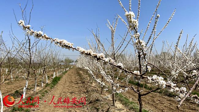 cde7629c6cc9535ec9bf1b60ff1fa255_LOCAL202204151821000364831375299.jpg cde7629c6cc9535ec9bf1b60ff1fa255_LOCAL202204151821000364831375299.jpg