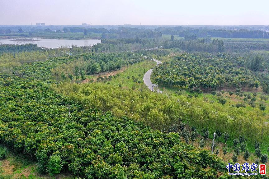 4b839fa13594c3faf6054c44416e56be_1211638622_16504237716781n.png 4b839fa13594c3faf6054c44416e56be_1211638622_16504237716781n.png