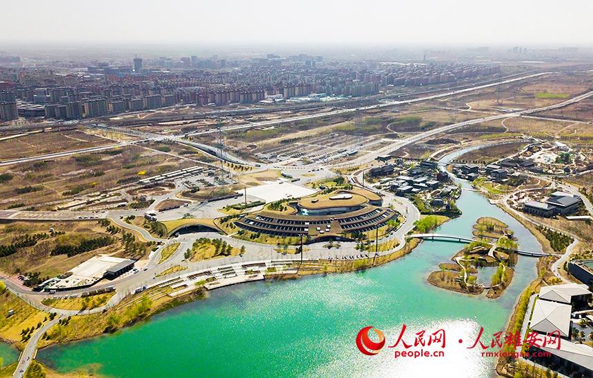 航拍雄安郊野公園。人民網(wǎng)宋燁文攝