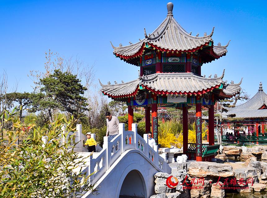 春天的雄安郊野公園，春和景明。人民網(wǎng)宋燁文攝