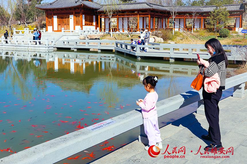 雄安悅?cè)莨珗@一角，不少家長帶著孩子前來游玩。人民網(wǎng)宋燁文攝