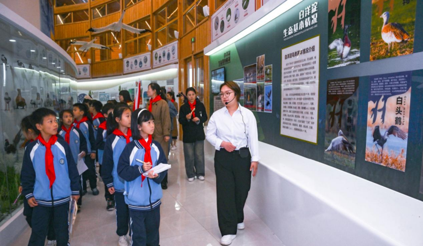 2e7192fd56b8e110c9ca8101bc687f35_LOCAL1714438441558A55PFIQB23.png 2e7192fd56b8e110c9ca8101bc687f35_LOCAL1714438441558A55PFIQB23.png