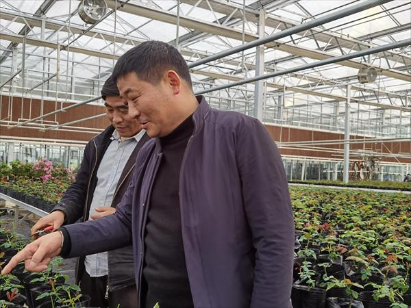 諸新良和農(nóng)戶一起研究花木種植技術(shù)。受訪者供圖