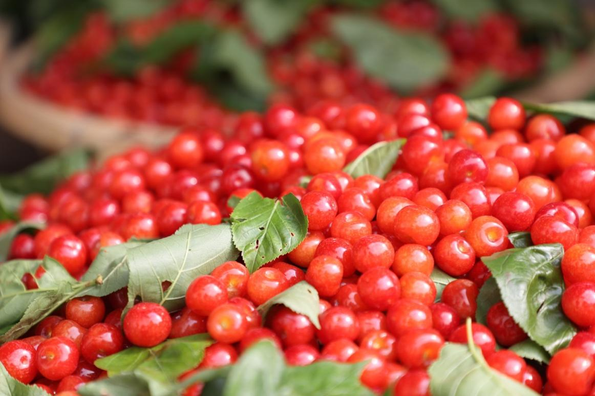 4e2eadab80b7ad3015c103b6119df367_20230530361981fc1fc6482ab6111739830945d9_20230530bf6e74cbb0ef4fdd8688478ec452ec65.png 4e2eadab80b7ad3015c103b6119df367_20230530361981fc1fc6482ab6111739830945d9_20230530bf6e74cbb0ef4fdd8688478ec452ec65.png