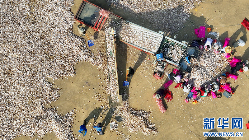 efcb3d824640219ed1ce1985aa240d60_20230626d2dff9ce944444aeb995da9525c3f675_20230621dbb47b2559834764930b59a50e469cb0.jpg efcb3d824640219ed1ce1985aa240d60_20230626d2dff9ce944444aeb995da9525c3f675_20230621dbb47b2559834764930b59a50e469cb0.jpg