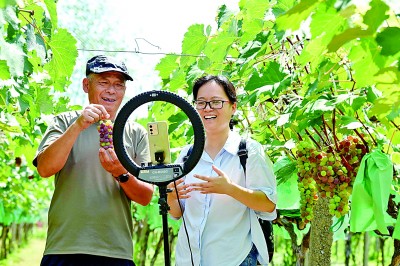 c796002c05ad5021672efde99daf2f36_res0703_attpic_brief.jpg c796002c05ad5021672efde99daf2f36_res0703_attpic_brief.jpg