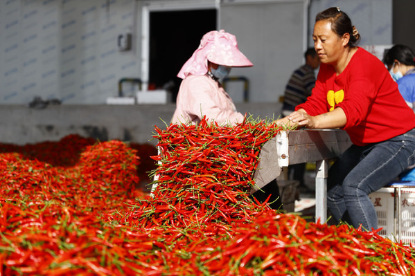 5c87d3e22072f3fbc7547d1cd7b58347_1310762974_17067443597471n.jpg 5c87d3e22072f3fbc7547d1cd7b58347_1310762974_17067443597471n.jpg