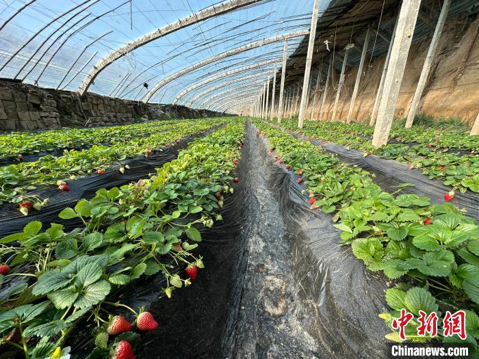 8f8a4a75e3a841466063efb6f267e85b_74703b2d-b889-4c69-bdf5-f61b5392deb2_zsite.jpg 8f8a4a75e3a841466063efb6f267e85b_74703b2d-b889-4c69-bdf5-f61b5392deb2_zsite.jpg