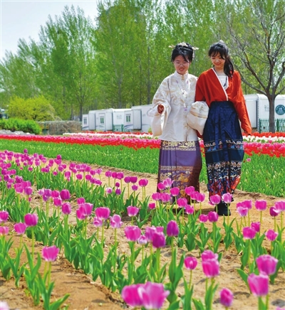 b070674b6160e36a3cf9b94b19ac5c54_p3_b.jpg b070674b6160e36a3cf9b94b19ac5c54_p3_b.jpg