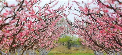 f7f04b528c5f5e112645ed46d899df60_p4_b.jpg f7f04b528c5f5e112645ed46d899df60_p4_b.jpg