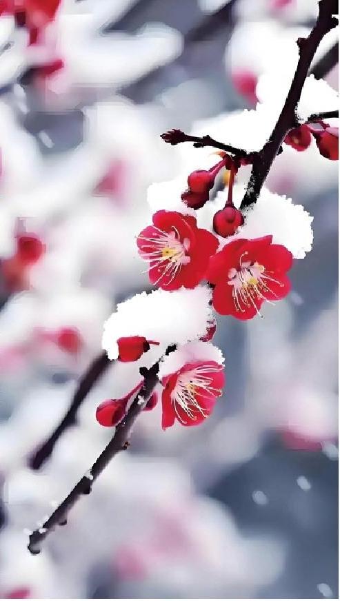 8e8261546d3e6513670a182c712e6215_08_08_3281.jpg 8e8261546d3e6513670a182c712e6215_08_08_3281.jpg