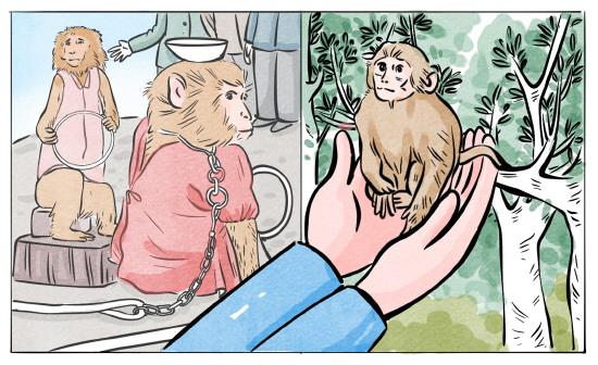 9bc7782312d32690df0fd77254f06116_06_06_3541.jpg 9bc7782312d32690df0fd77254f06116_06_06_3541.jpg