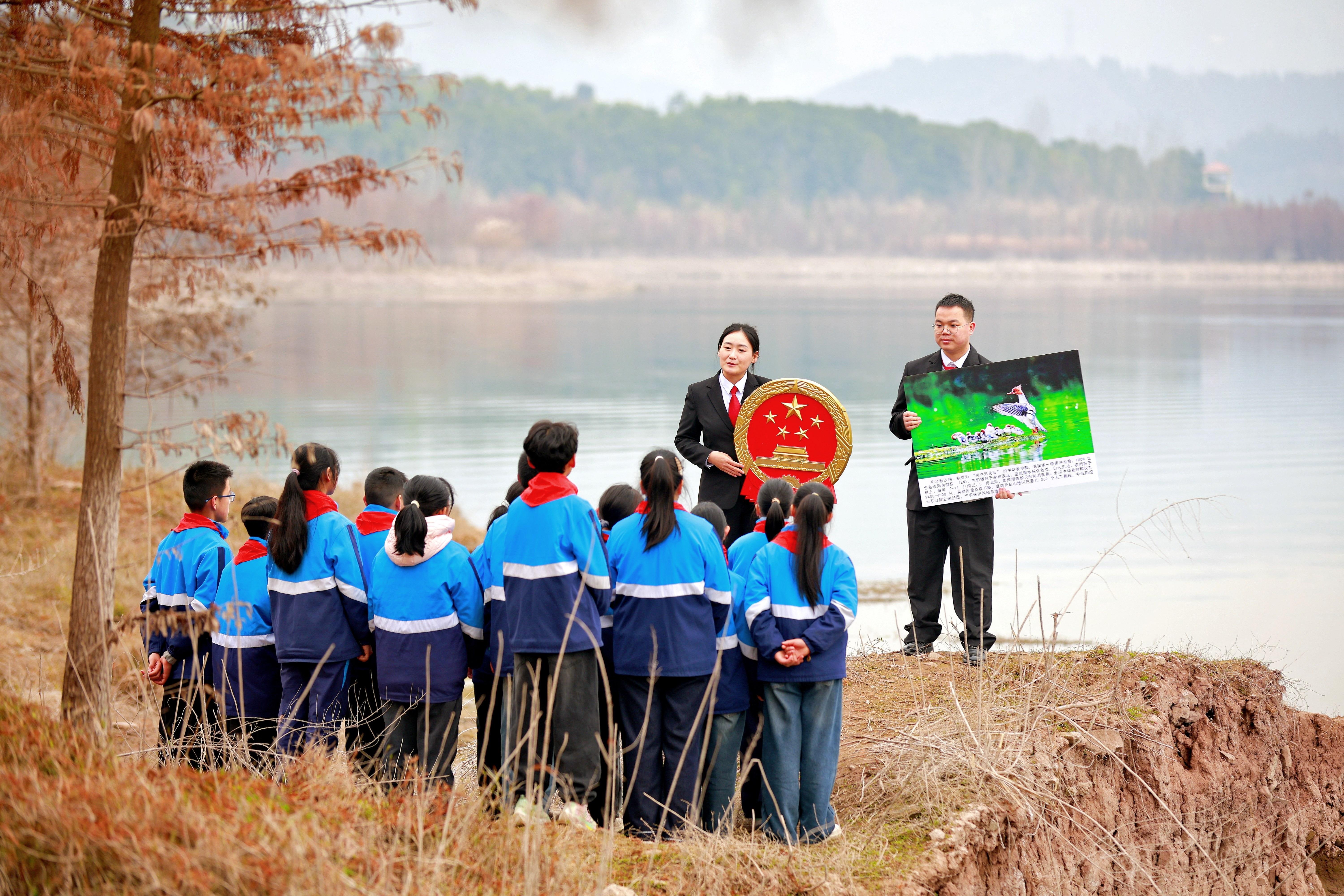 與雁同行共護濕地