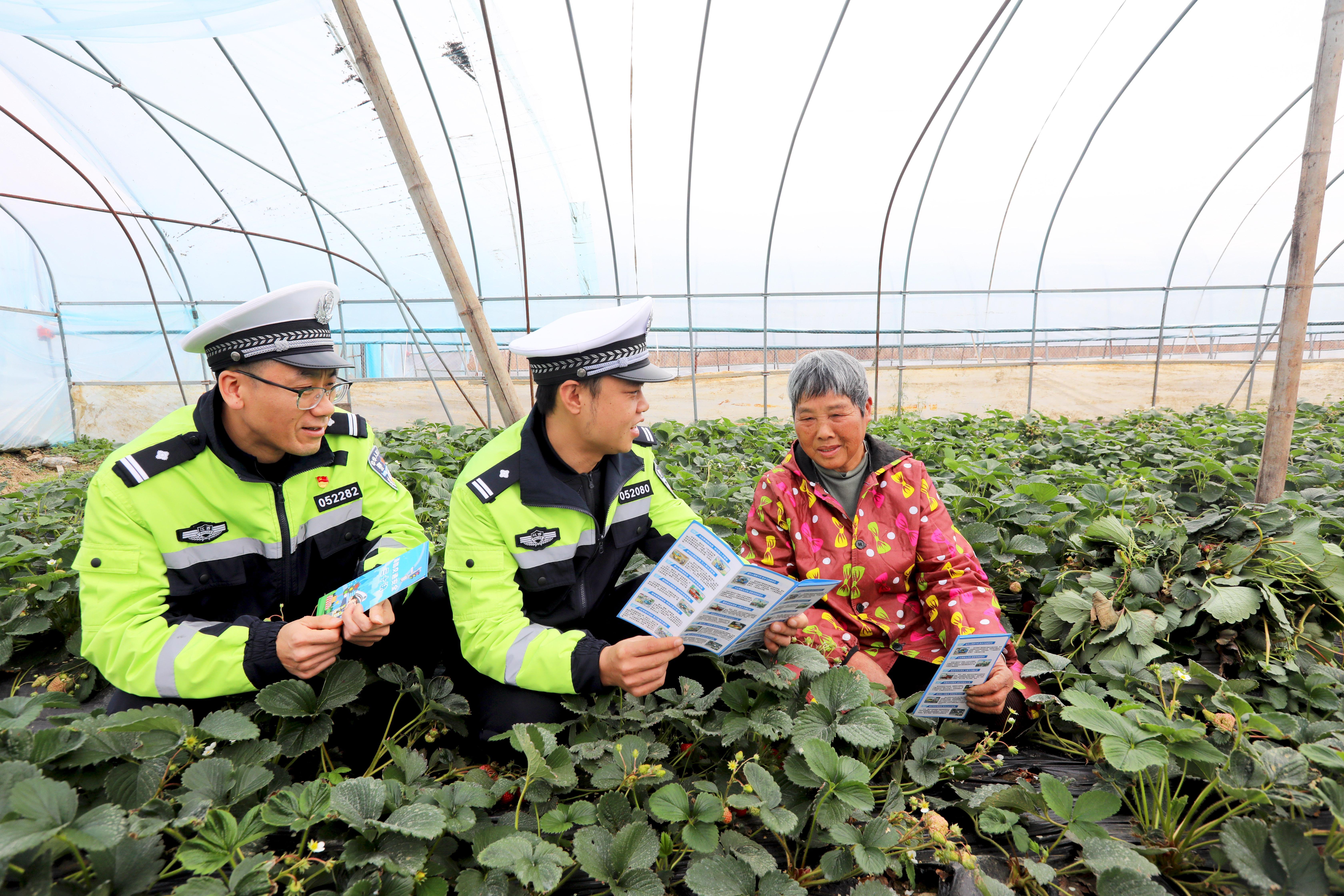 江西分宜：田間地頭話安全